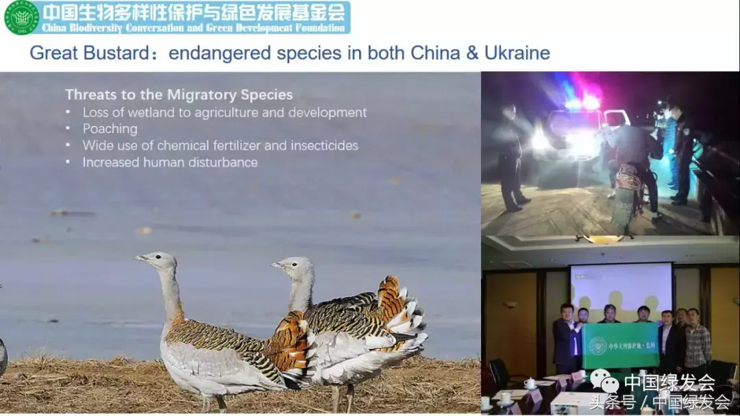 Zhou Jinfeng attended the 2018 Horatis China Forum and gave a speech PPT | China-Europe Ecology "Belt and Road"